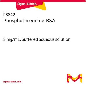 Phosphothreonine-BSA 2&#160;mg/mL, buffered aqueous solution