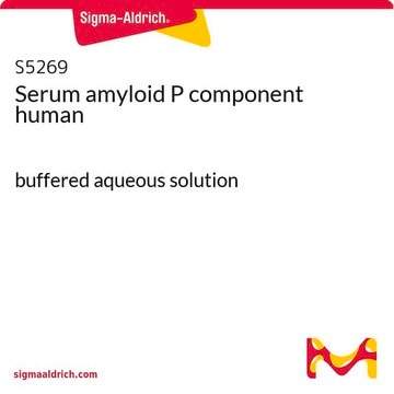 Serum amyloid P component human buffered aqueous solution