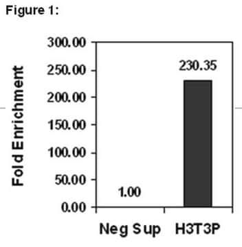 ChIPAb+ Phospho-Histone H3 (Thr3) - ChIP Validated Antibody and Primer Set, rabbit monoclonal culture supernatant, clone JY325, from rabbit