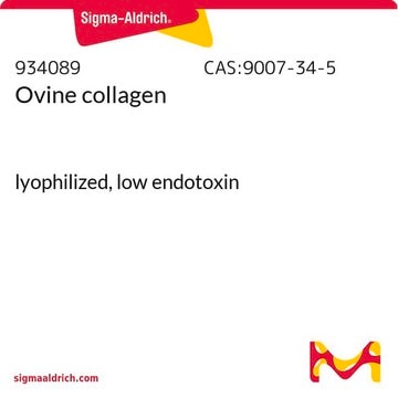 Ovine collagen lyophilized, low endotoxin