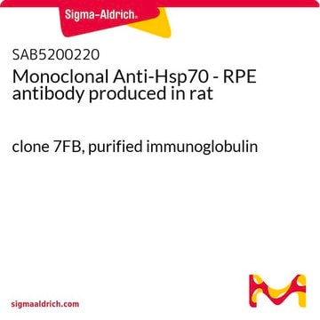 Monoclonal Anti-Hsp70 - RPE antibody produced in rat clone 7FB, purified immunoglobulin