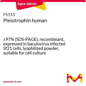 Pleiotrophin human &#8805;97% (SDS-PAGE), recombinant, expressed in baculovirus infected Sf21 cells, lyophilized powder, suitable for cell culture