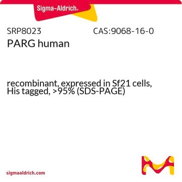 PARG human recombinant, expressed in Sf21 cells, His tagged, &gt;95% (SDS-PAGE)