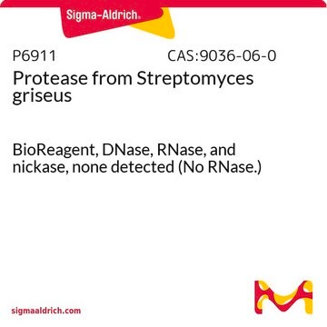 Proteasa from Streptomyces griseus BioReagent, DNase, RNase, and nickase, none detected (No RNase.)