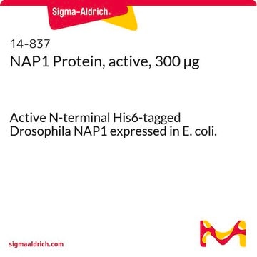 NAP1 Protein, active, 300 &#181;g Active N-terminal His6-tagged Drosophila NAP1 expressed in E. coli.