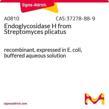 内切糖苷酶H 来源于褶皱链霉菌 recombinant, expressed in E. coli, buffered aqueous solution