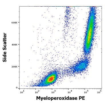 Monoclonal Anti-Myeloperoxidase PE produced in mouse