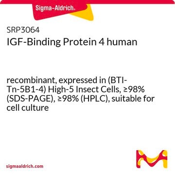 IGF-Binding Protein 4 human recombinant, expressed in (BTI-Tn-5B1-4) High-5 Insect Cells, &#8805;98% (SDS-PAGE), &#8805;98% (HPLC), suitable for cell culture