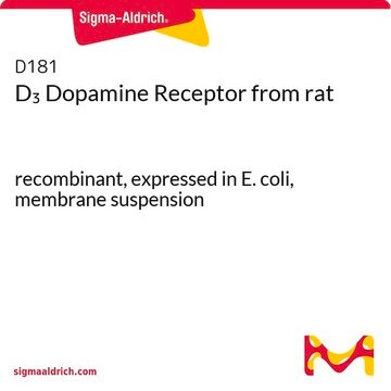 D3 Dopamine Receptor from rat recombinant, expressed in E. coli, membrane suspension