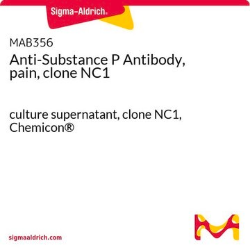 Anti-Substance P Antibody, pain, clone NC1 culture supernatant, clone NC1, Chemicon&#174;