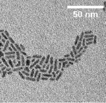 CdSe/CdS core-shell type quantum rods fluorescence &#955;em&#160;530&#160;nm, 5&#160;mg/mL in hexane