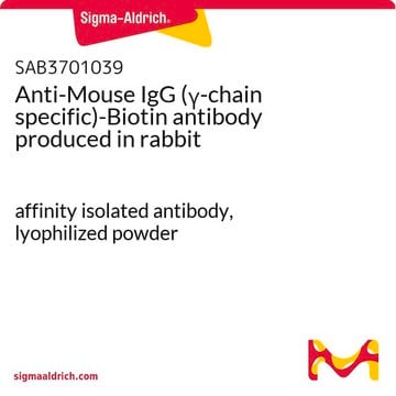 Anti-Mouse IgG (&#947;-chain specific)-Biotin antibody produced in rabbit affinity isolated antibody, lyophilized powder