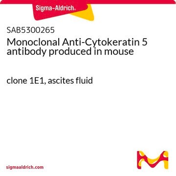 Monoclonal Anti-Cytokeratin 5 antibody produced in mouse clone 1E1, ascites fluid