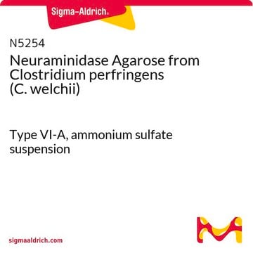 Neuraminidase-Agarose aus Clostridium perfringens (C.&nbsp;welchii) Type VI-A, ammonium sulfate suspension