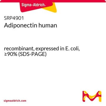 Adiponectin human recombinant, expressed in E. coli, &#8805;90% (SDS-PAGE)