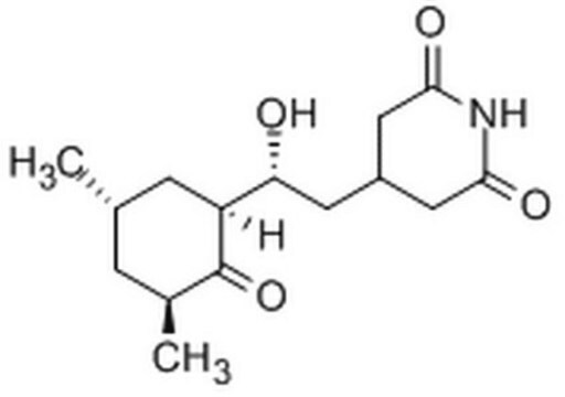 Cycloheximide InSolution, &#8805;98%