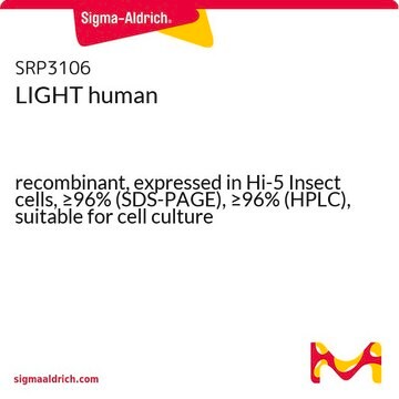 LIGHT human recombinant, expressed in Hi-5 Insect cells, &#8805;96% (SDS-PAGE), &#8805;96% (HPLC), suitable for cell culture