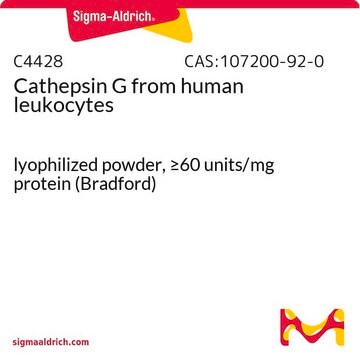 Cathepsine&nbsp;G from human leukocytes lyophilized powder, &#8805;60&#160;units/mg protein (Bradford)