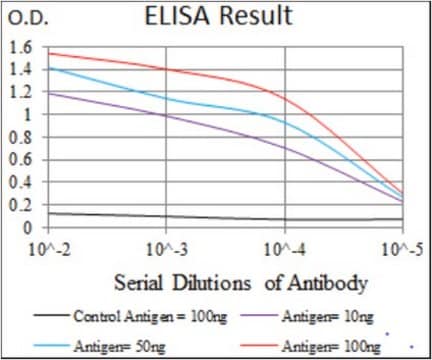 Anti-ACLY, clone 5F8D11 Antibody clone 5F8D11, from mouse