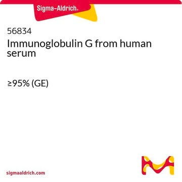 Immunoglobulin G from human serum &#8805;95% (GE)