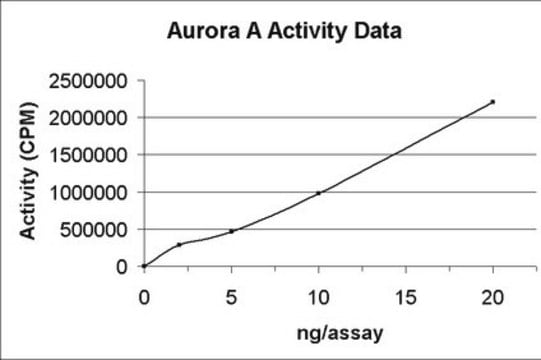 Aurora&nbsp;A-Protein, aktiv, 10&nbsp;&#181;g Active, N-terminal His6-tagged, recombinant full-length human Aurora A, for use in Kinase Assays.