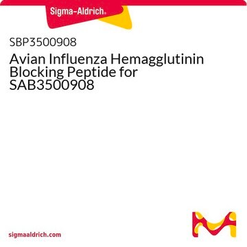 Avian Influenza Hemagglutinin Blocking Peptide for SAB3500908