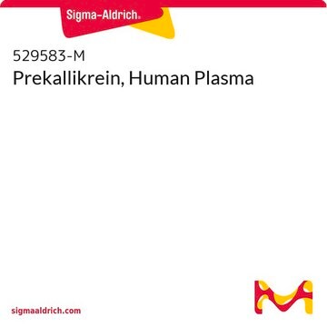 Prekallikrein, Human Plasma