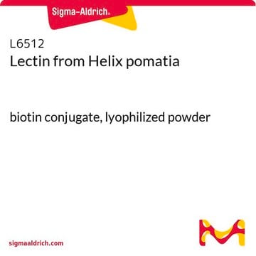 Lectin from Helix pomatia biotin conjugate, lyophilized powder