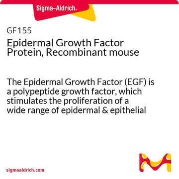 Proteína factor de crecimiento epidérmico, ratón recombinante The Epidermal Growth Factor (EGF) is a polypeptide growth factor, which stimulates the proliferation of a wide range of epidermal &amp; epithelial cells.