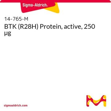 BTK (R28H) Protein, active, 250 µg