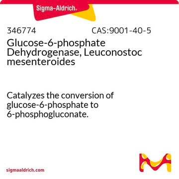 Glucose-6-phosphat-Dehydrogenase, Leuconostoc mesenteroides Catalyzes the conversion of glucose-6-phosphate to 6-phosphogluconate.