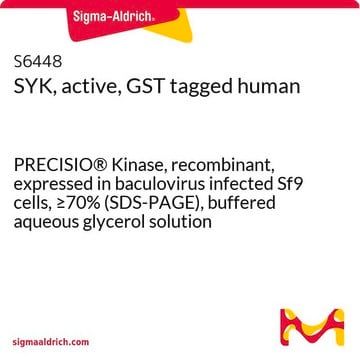 SYK, active, GST tagged human PRECISIO&#174; Kinase, recombinant, expressed in baculovirus infected Sf9 cells, &#8805;70% (SDS-PAGE), buffered aqueous glycerol solution