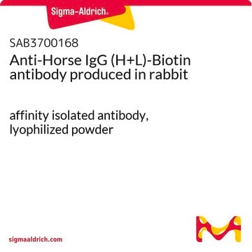 Anti-Horse IgG (H+L)-Biotin antibody produced in rabbit affinity isolated antibody, lyophilized powder