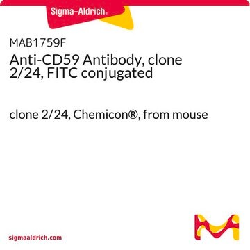 Anti-CD59 Antibody, clone 2/24, FITC conjugated clone 2/24, Chemicon&#174;, from mouse