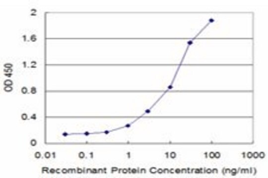 Monoclonal Anti-ECHS1, (C-terminal) antibody produced in mouse clone 3C6, purified immunoglobulin, buffered aqueous solution