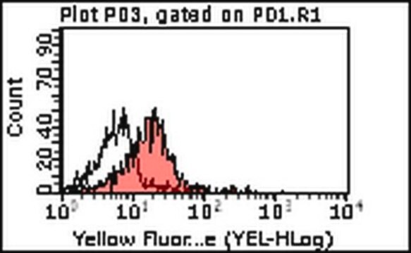 Przeciwciało anty-PAR-3, klon 8E8 clone 8E8, from mouse