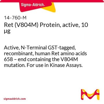 Ret (V804M) Protein, active, 10 &#181;g Active, N-Terminal GST-tagged, recombinant, human Ret amino acids 658 &#8211; end containing the V804M mutation. For use in Kinase Assays.