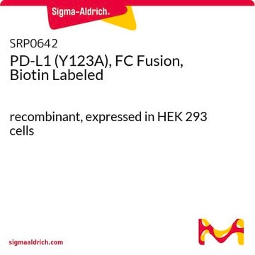 PD-L1 (Y123A), FC Fusion, Biotin Labeled recombinant, expressed in HEK 293 cells