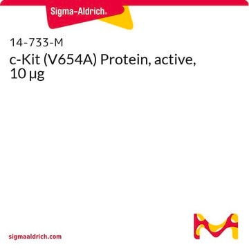 c-Kit (V654A) Protein, active, 10 &#181;g