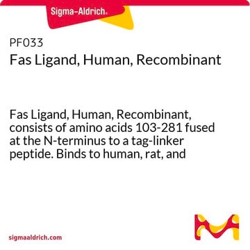 Fas Ligand, Human, Recombinant Fas Ligand, Human, Recombinant, consists of amino acids 103-281 fused at the N-terminus to a tag-linker peptide. Binds to human, rat, and mouse Fas.