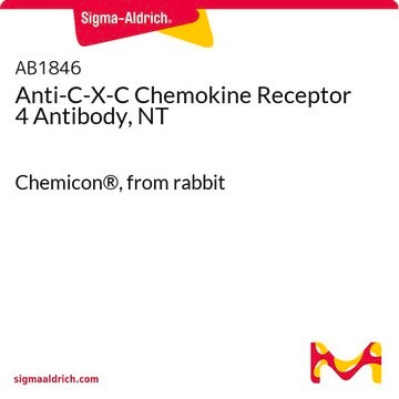 Anti-C-X-C Chemokine Receptor 4 Antibody, NT Chemicon&#174;, from rabbit