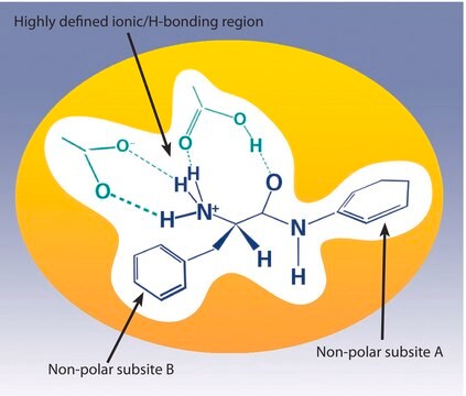 SupelMIP&#174; SPE - Beta-agonists bed wt. 25&#160;mg, volume 3&#160;mL, pk of 50