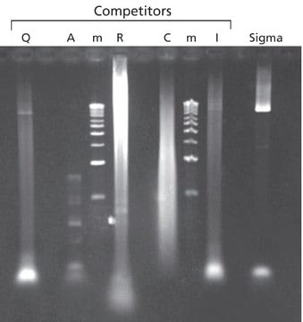 JumpStart&#8482; Taq DNA Polymerase with MgCl2