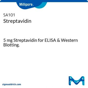 Estreptavidina 5 mg Streptavidin for ELISA &amp; Western Blotting.