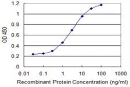 Monoclonal Anti-RASGRP3 antibody produced in mouse clone 1H4, purified immunoglobulin, buffered aqueous solution