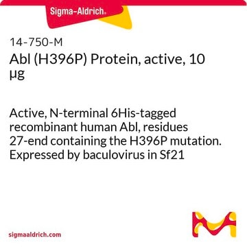 Abl (H396P) Protein, active, 10 &#181;g Active, N-terminal 6His-tagged recombinant human Abl, residues 27-end containing the H396P mutation. Expressed by baculovirus in Sf21 insect cells. For use in Kinase Assays.