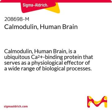 Calmodulin, Human Brain Calmodulin, Human Brain, is a ubiquitous Ca2+-binding protein that serves as a physiological effector of a wide range of biological processes. Purified from human brain.