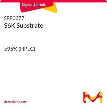 S6K Substrate &#8805;95% (HPLC)