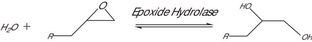 Epoxidhydrolase aus Rhodococcus rhodochrous lyophilized powder, beige, &#8805;0.2&#160;U/g