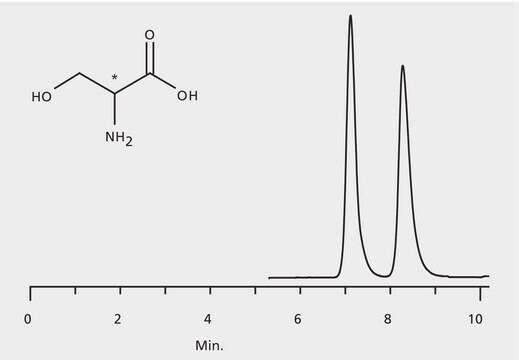 HPLC Analysis of Serine Enantiomers on Astec&#174; CHIROBIOTIC&#174; TAG application for HPLC